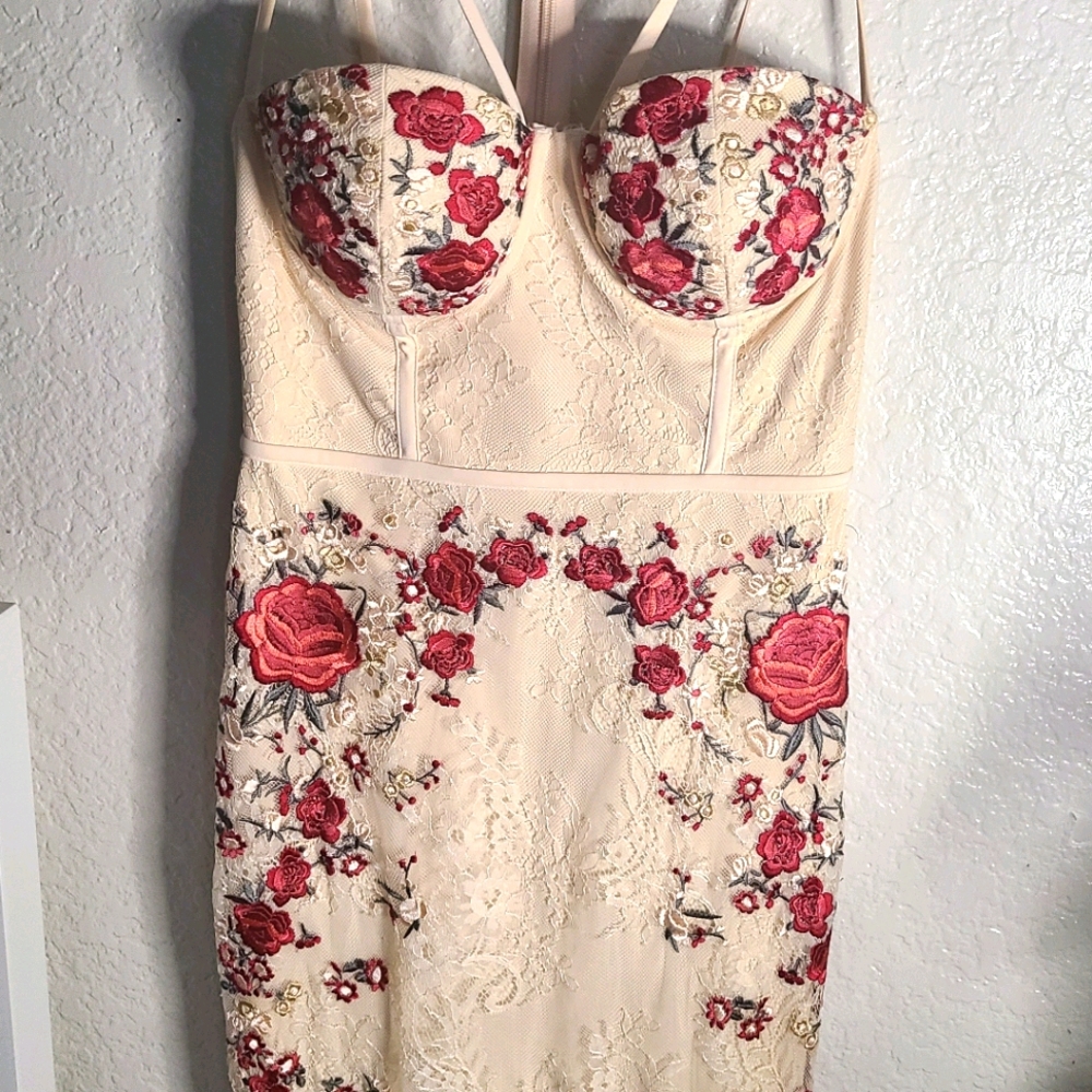 BEBE Maddie Lace Embroidered Cocktail Dress